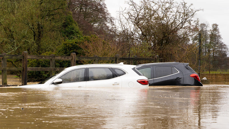 Two cars stuck in a flood. 