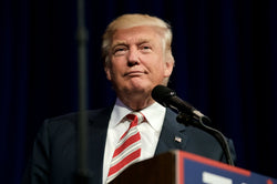 Trump Elected President, Stocks Plunge (and Everything will be Just Fine) - Be Prepared - Emergency Essentials