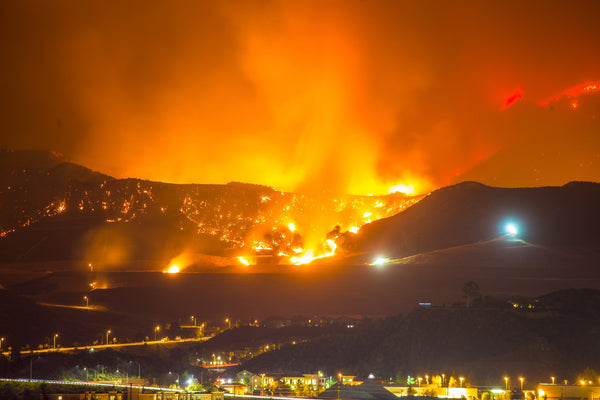 Your Guide to Wildfire Preparedness - Be Prepared - Emergency Essentials