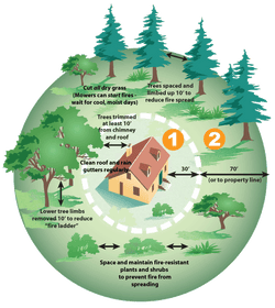 How to Defend Your Home From Wildfires