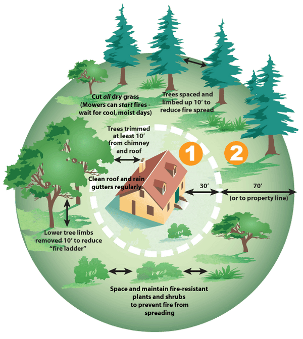 How to Defend Your Home From Wildfires