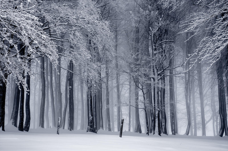 4 Deceptive Cold Weather Hazards You May Not Know About (But Need To) - Be Prepared - Emergency Essentials