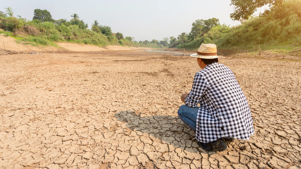 Why and How Water Scarcity Affects You