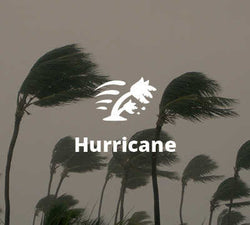 Hurricane Preparedness Guide