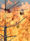 Preparing for Holiday Hazards - Be Prepared - Emergency Essentials