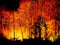Wildfires: How They Start - Be Prepared - Emergency Essentials