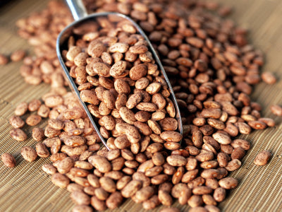 Follow-up Review from Kevin in Oklahoma