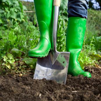 Baby Steps: Preparing the Soil for your Garden