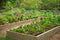 Build a Raised-Bed Garden