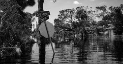 Remembering Irma: The Stories of Two Guys Who Knew Her - Be Prepared - Emergency Essentials