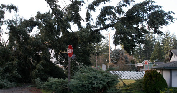 He Huffed and He Puffed: Surviving a Big Bad Windstorm - Be Prepared - Emergency Essentials