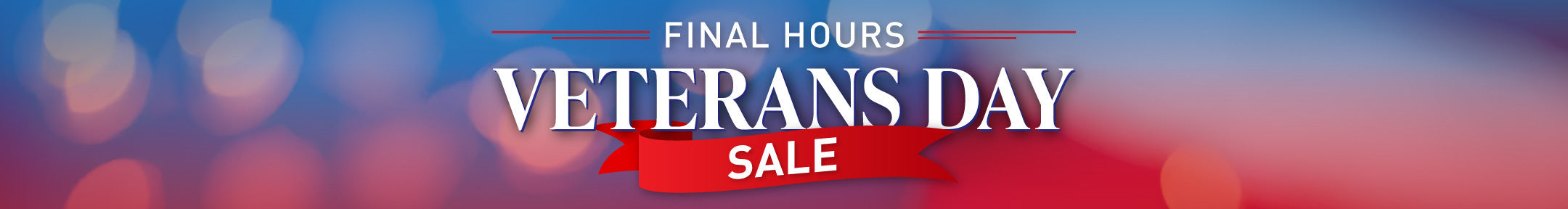 Veteran's Day 2024