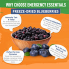 Freeze-Dried Whole Blueberries