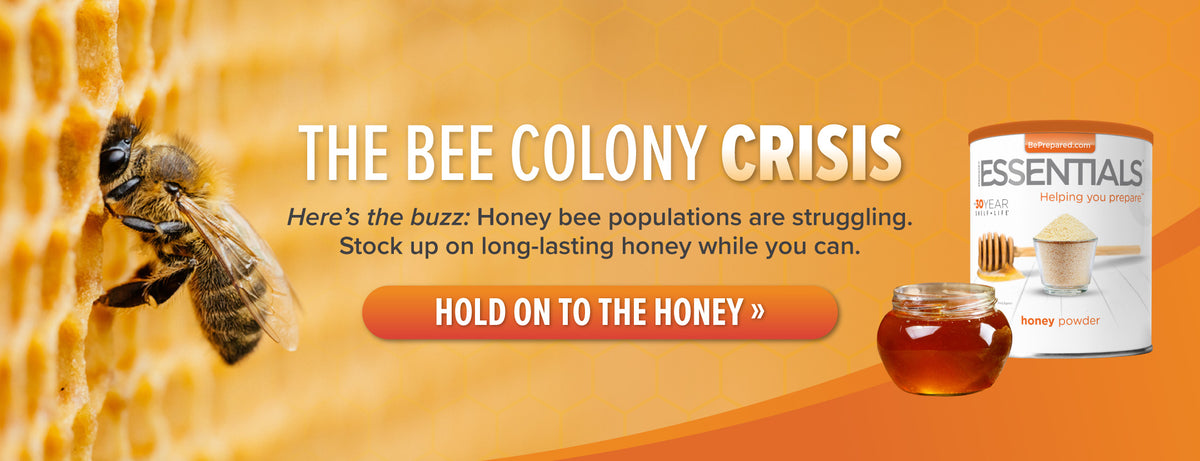 The Bee Colony Crisis