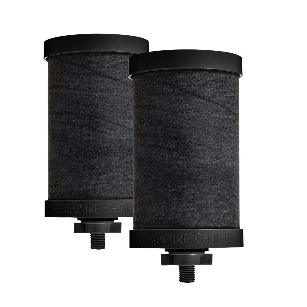 Alexapure Pro Filter BOGO