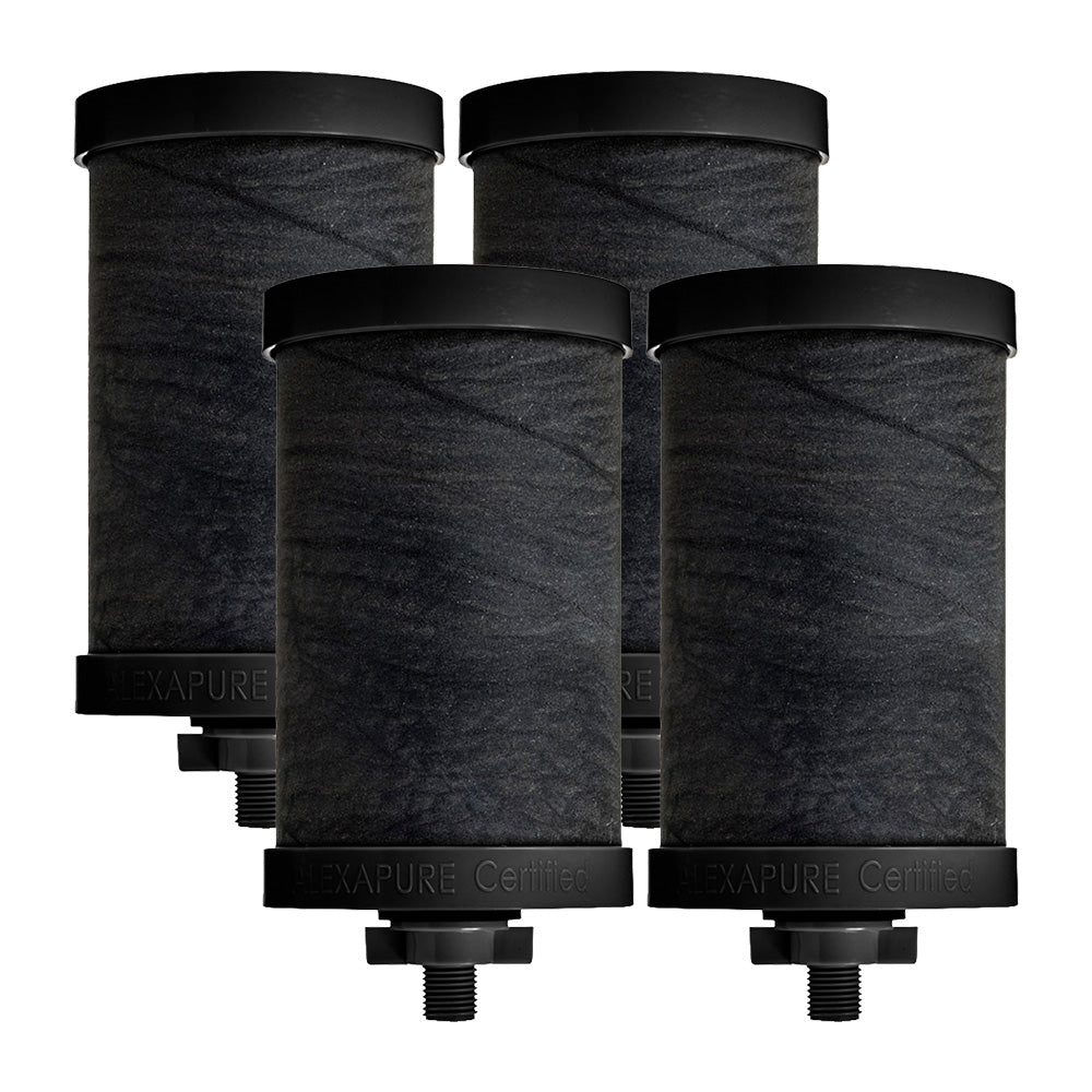 Alexapure Pro Certified Replacement Filter