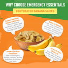 Dehydrated Banana Slices