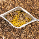 Beef Stroganoff Pouch by Beyond Outdoor Meals (710 calories, 2 servings) (7443596181644)