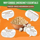 Freeze-dried mushroom slices in a bowl 