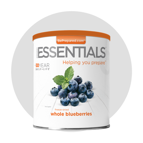 Single Pack of Freeze-Dried Blueberries