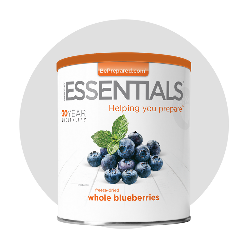 Single Pack of Freeze-Dried Blueberries