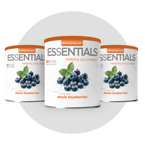 3 Pack of Freeze-Dried Blueberries