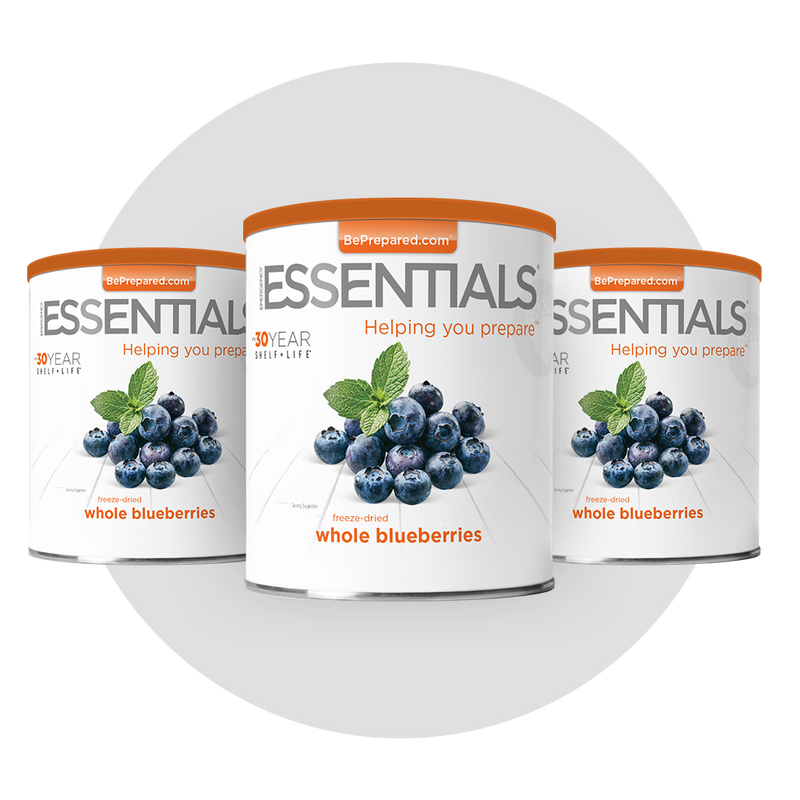 3 Pack of Freeze-Dried Blueberries