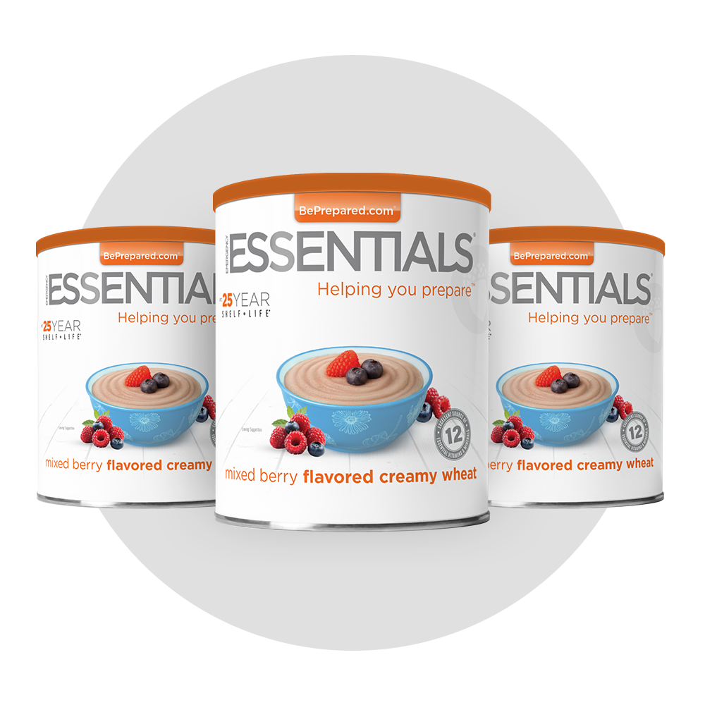 NEW Mixed Berry Flavored Creamy Wheat #10 Can