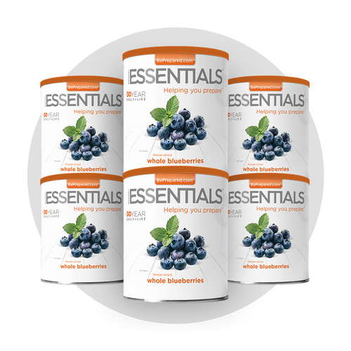 6 Pack of Freeze-Dried Blueberries