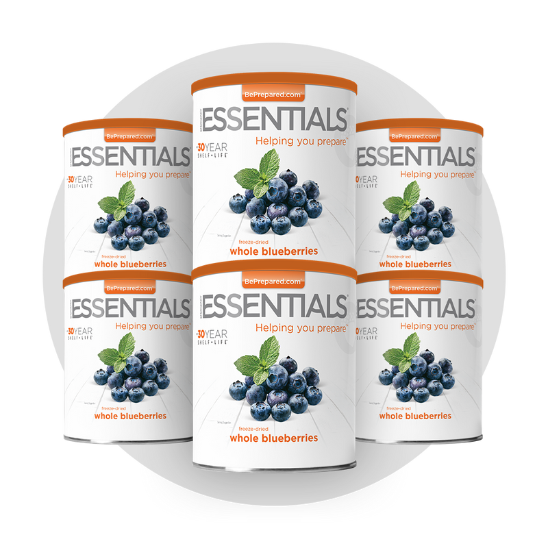 6 Pack of Freeze-Dried Blueberries