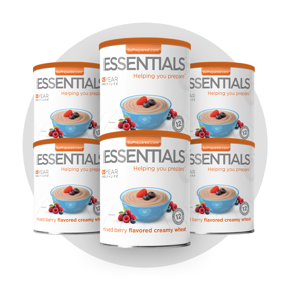 NEW Mixed Berry Flavored Creamy Wheat #10 Can