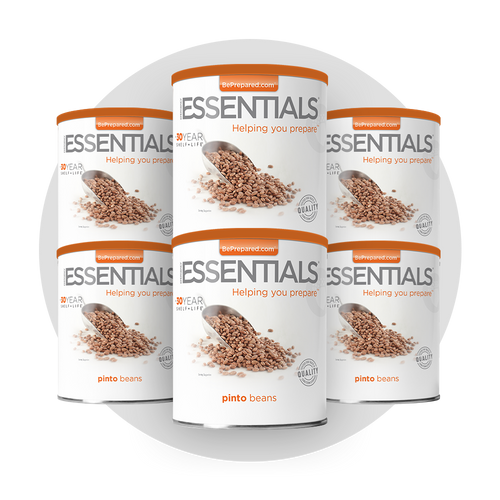 6 Pack of Pinto Beans