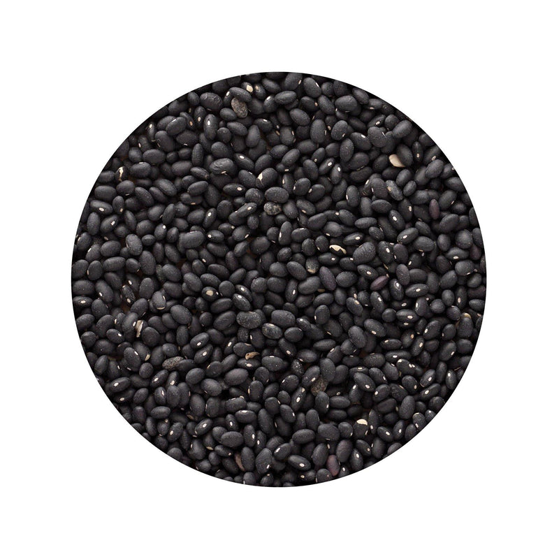 Emergency Essentials® Black Beans Large Can (4625818386572) (7315479396492)