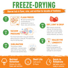 Freeze-Drying: How we lock in flavor