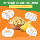 Freeze-Dried Pineapple Dices Large  #10 Can