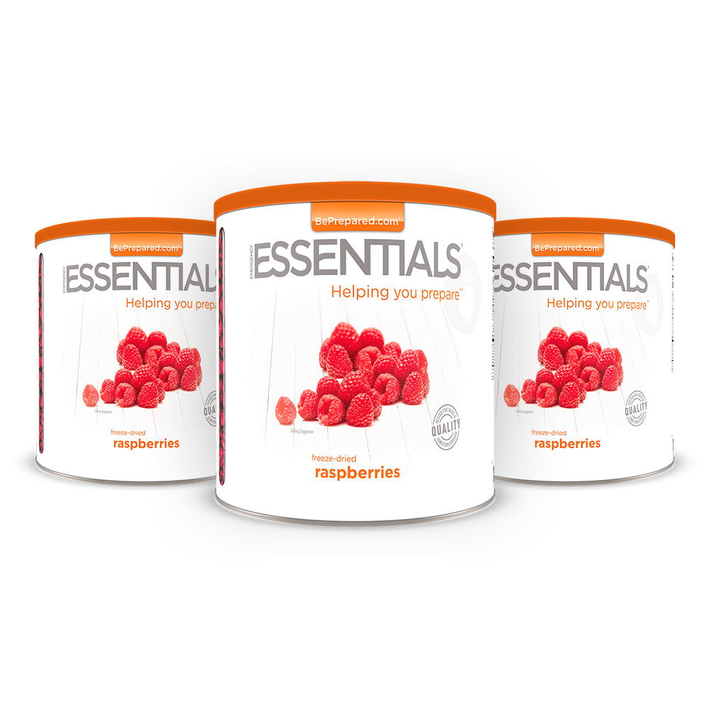 Freeze-Dried Raspberries Large Can (3-Pack)