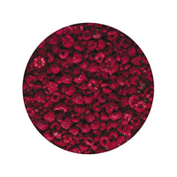 Emergency Essentials® Freeze-Dried Raspberries Large Can