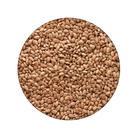 Emergency Essentials® Pinto Beans Large Can (4625817174156)
